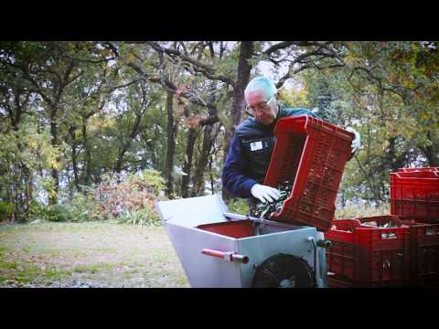 Magia di Barbarano - il frantoio