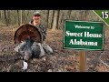 ALABAMA PUBLIC LAND Run And Gun Turkey Hunting