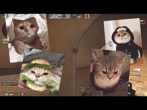 Steam Community :: Video :: pain :3 csgo core