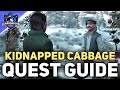 Kidnapped Cabbage Quest Walkthrough Hogwarts Legacy
