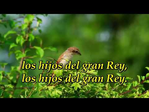 477 Los que aman al Señor