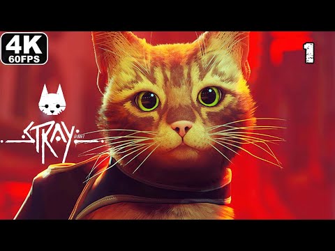 STRAY Gameplay Walkthrough Part 1 [4K 60FPS] - No Commentary