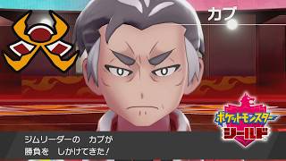 えっ、なんでもするって言いました…?【ポケモン剣盾】＃１３