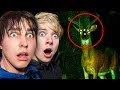 Terrifying Creatures Caught On Camera