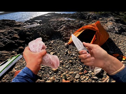 Camped in a Big Fish Zone ( Eat What I Catch )