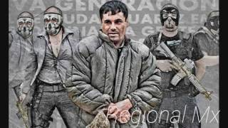 Nos cayeron chaparrito - los plebes del rancho (estudios)