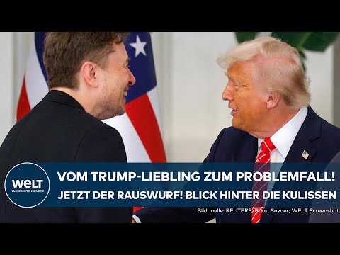 ELON MUSK: Donald Trump nennt ihn großartig... und lässt ihn fallen! Tesla-Marke im Sinkflug