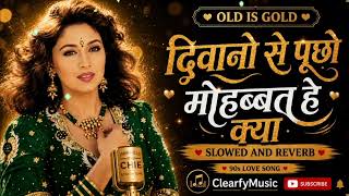 Download lagu Diwano Se Pucho Mohabbat Hai Kya | 90s Love Hindi Song | Old Is Gold  | Evergreen Hindi Songs mp3