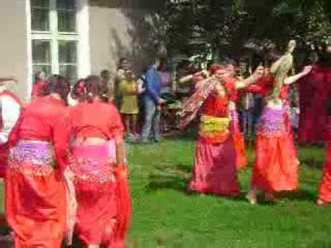 SERBARE BURDUSACI 2010 009_1.flv