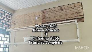 CURIÓ PERSEU 4053.