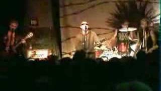 The Briefs - Antisocial