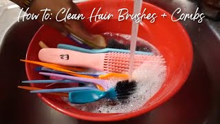 How To: Clean Brushes + Combs | Abby Jahaira