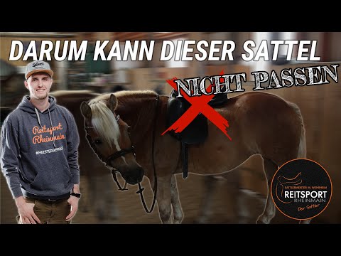 Darum kann dieser Sattel nicht passen | Reitsport-Rheinmain