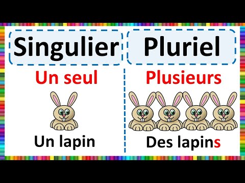 Grammaire - Apprendre le Singulier et le Pluriel
