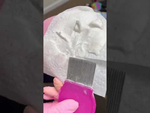 Lice get your attention?! Follow and like Lice Ladies Atlanta for more #fun videos! #fyp