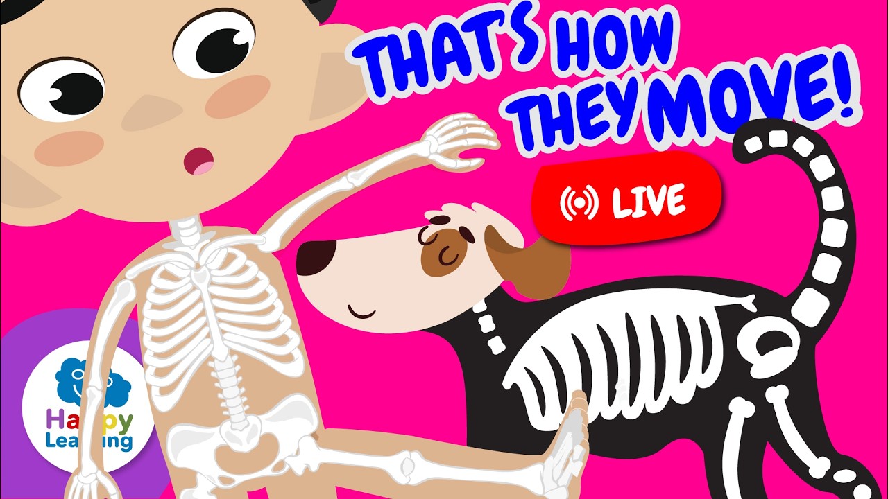 🦴 Vertebrates: animals with bones! | Educational Videos for Children | @HappyLearningEN