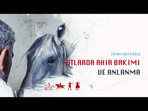 , title : 'Atlarda Ahır Bakımı ve Anlanma | Ertan Erkekoğlu'