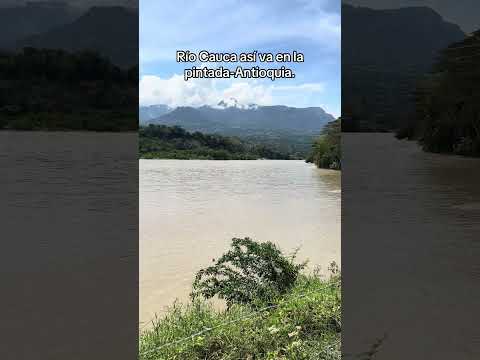 Río Cauca así va en la pintada Antioquía.#riocauca ca