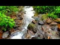 Malayalam Nostalgic Song Nature Love