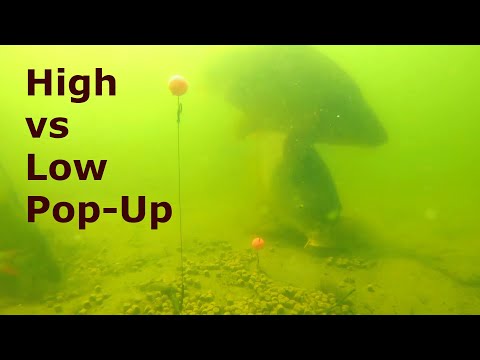 Underwater carp camera - High vs Low Pop Up test / Cloudy water.