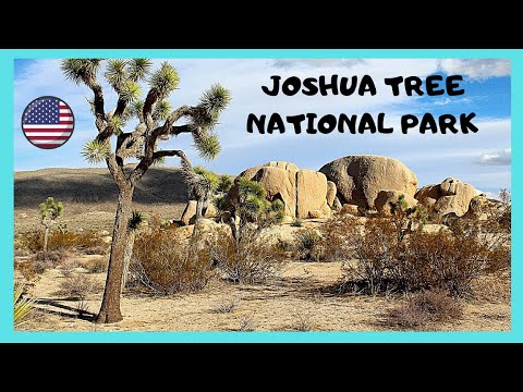 The incredibly beautiful Joshua Tree Nat