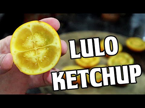 LULO KETCHUP - Making An Incredible Sauce From a Lesser Known Tomato Relative (Naranjilla)