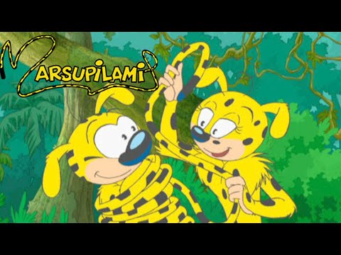 Marsupilami : Season 2, Episode 13 - Protector of the Marsupilami's ⚡