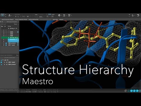 Maestro - Structure Hierarchy
