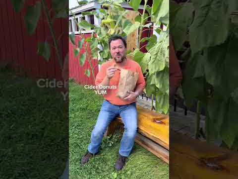 メインの好きなところ！ #ティムダンハム不動産 #不動産屋 #メイン州 #秋 #秋の時間 #秋 #購読