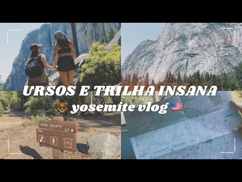 ACAMPANDO COM URSOS 🐻 E TRILHA DE 8 HORAS | Yosemite Vlog 🇺🇸⛰️⛺️