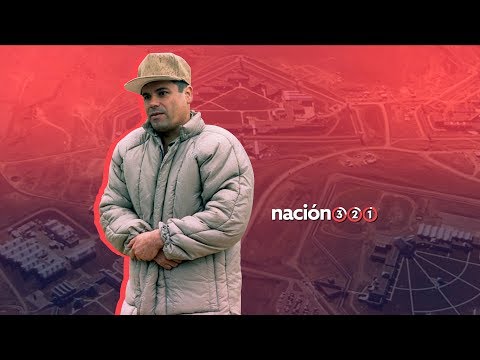 Los 7 cárteles del narcotráfico más peligrosos de México – Nacion321