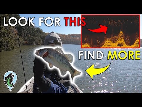 Fish Finder Trick to Find Bass Fast in the Winter | 3 Hour Challenge