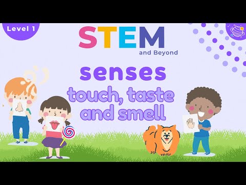 Senses - Touch, Taste And Smell | KS1 Year 1 Science | Home Learning