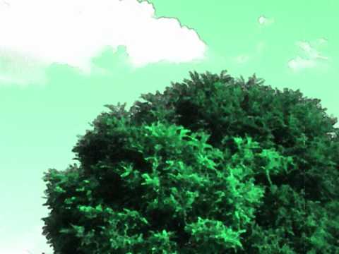 LoungeTom - From Orient to Occident