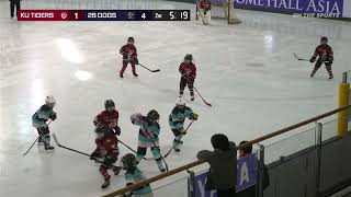 HIGHLIGHTS | 2B DOGS vs KU TIGERS | 2025. 10. 31 | CITRUS CUP 2025