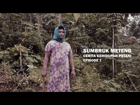 cerita-kehidupan-petanieps7-sumbruk-meteng