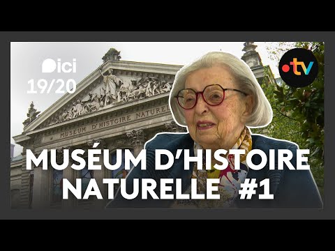 Muséum d'histoire naturelle de Nantes #1 : une histoire de passionnés