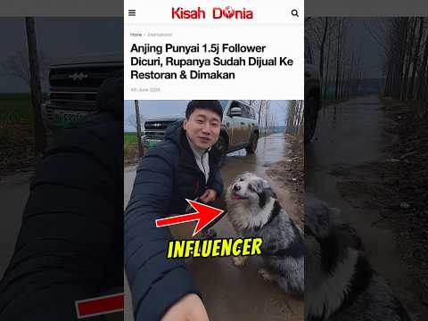 Nasib menyedihkan anjing viral yang dicuri 😭