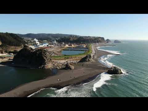 RESERVA LOS BOLLENES  CONSTITUCIÓN LA PERLA DEL MAULE