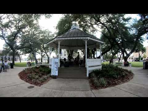 Thumbnail for Bizerk - Live Downtown, Victoria, Texas, Art And Music Festival September/17/2022 by Trespass (band)