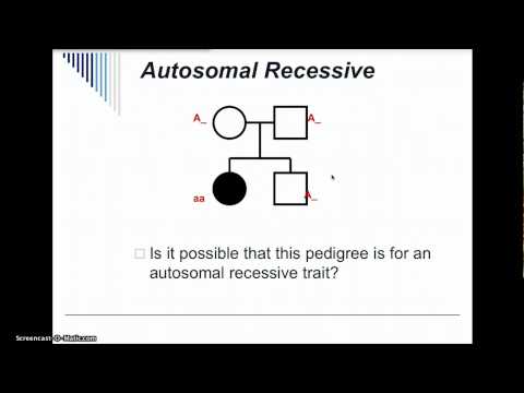 Pedigree Analysis Practice