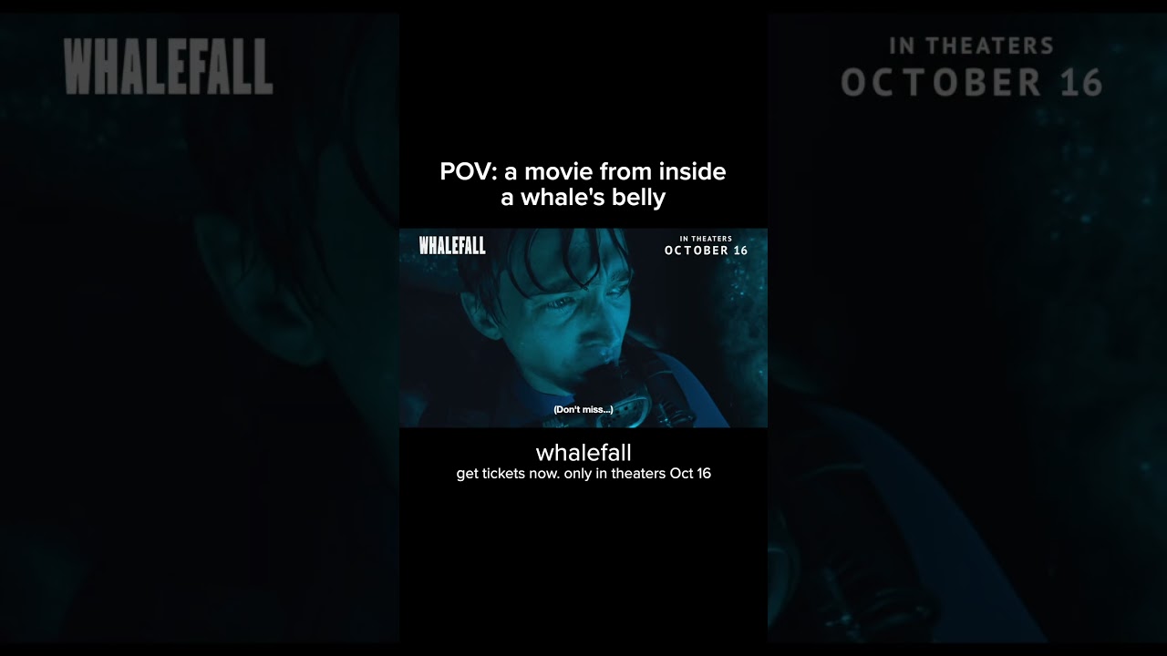 Video náhled