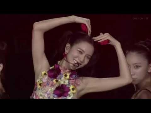 JISOO (지수) - (꽃) FLOWER (Live at BORN PINK WORLD TOUR in Osaka Day 2)