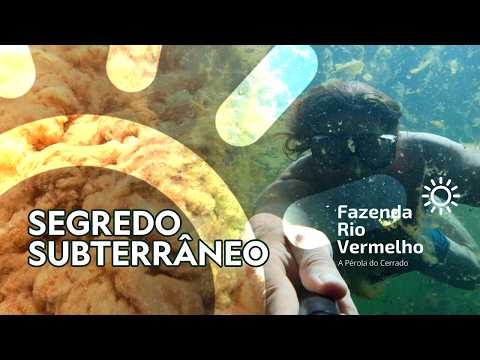 Lago do Léo e Fervedouro do Léo: águas surpreendentes em Mambaí