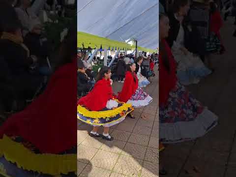 Una Cuequita de las 232 en Constitucion 20/06/26