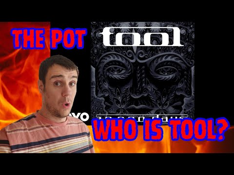TOOL The Pot 1st listen reactions/ rap fan dives into rock 