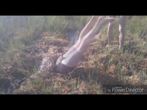 Трейлеры Пародии