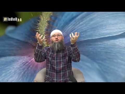 Činjenje bluda, kazna za blud i kako se iskupiti za taj grijeh? - Elvedin Pezić