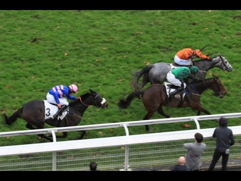 Capivari - Auteuil Group 1 Prix Renaud du Vivier Hurdle (13/11/16)