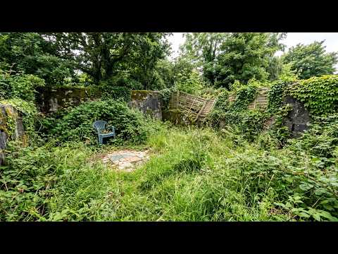 Overgrown Jungle Backyard Restoration
